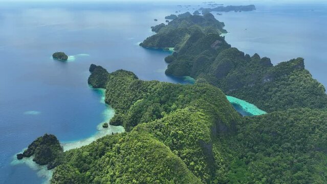 Rugged, forest-covered limestone islands, surrounded by coral reefs, rise from Raja Ampat's dramatic seascape. This remote part of Indonesia is known for its incredibly high marine biodiversity.