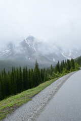 Beautiful road in the Canadian Rocky Mountains surrounded by green trees