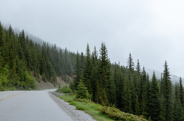 Fototapeta premium Beautiful road in the Canadian Rocky Mountains surrounded by green trees