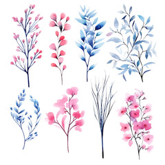 Set of pink and blue floral watecolor. flowers and leaves. Floral poster, invitation floral. Vector arrangements for greeting card or invitation design