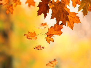 Naklejka na ściany i meble Autumn leaves falling from a tree on an blurred background. Generative AI