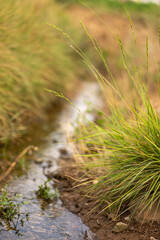 Photo of a landscape with an electricity tower