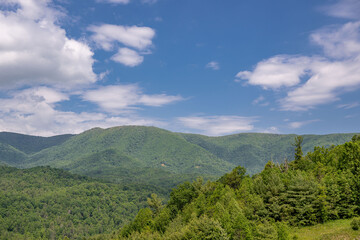 Obraz premium flowery mountain landscape