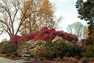 trees