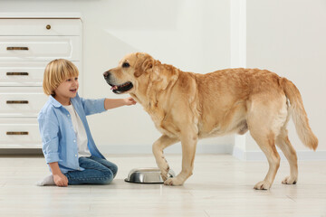 Cute little child feeding Golden Retriever at home. Adorable pet