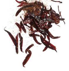 Dried Red hot Chilli fall down explosion, dried Red Chilli float explode, abstract cloud fly. Mix ground powder Chillis splash throwing in Air. White background Isolated high speed shutter, freeze