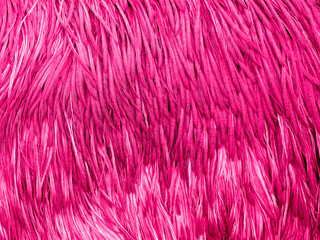 Pink feature texture for background