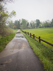 Fototapeta premium road in the countryside