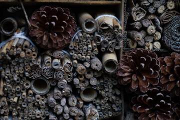 Insect hotel made of different materials for the conservation of insect biodiversity.