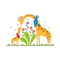 Animal Flat Illustration