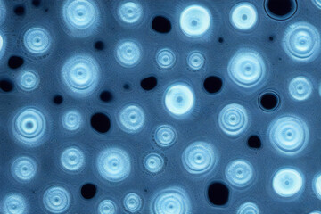 Science lab petri dish reveals intricate microorganisms. Discovery, exploration, research concept created with generative AI.