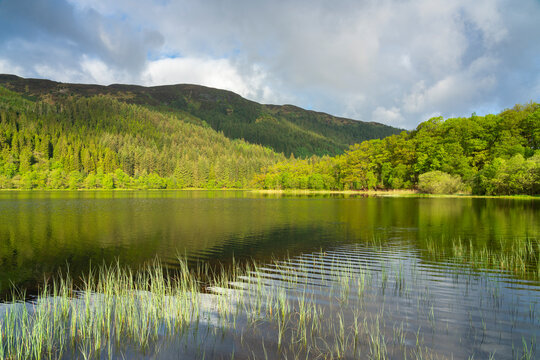 Loch Chon, Loch Lomond and The Trossachs National Park, Scottish Highlands, Scotland, United Kingdom