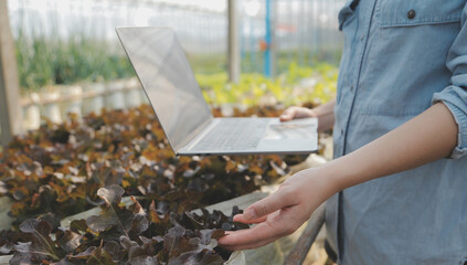Asian woman farmer using digital tablet in vegetable garden at greenhouse, Business agriculture...
