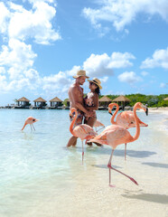 a couple of men and women on the beach with pink flamingos at Aruba Island Caribbean.