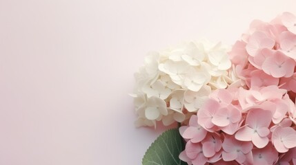Bunch of pink and white hydrangeas on light pink background with copy space. AI Generated.