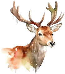 Deer watercolor transparent background