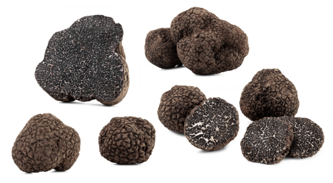 set of black truffles with slices on white background.