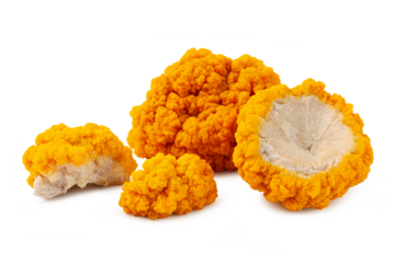 fresh golden ear mushroom or tremella mesenterica (yellow brain fungus) isolated on white background.