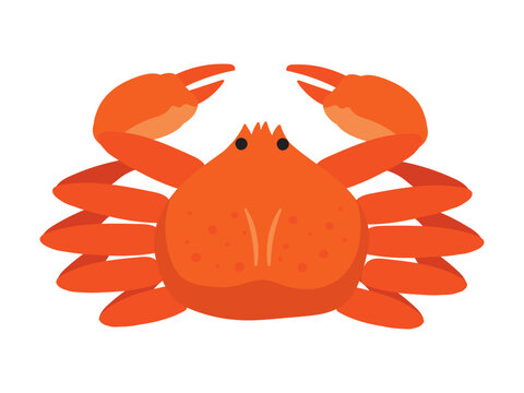 ゆるくて可愛い手描きのカニのイラスト