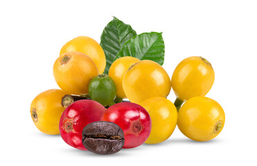 Yellow coffee beans isolated on transparent png
