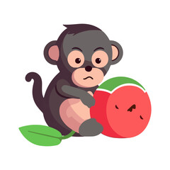 baby monkey with watermelon