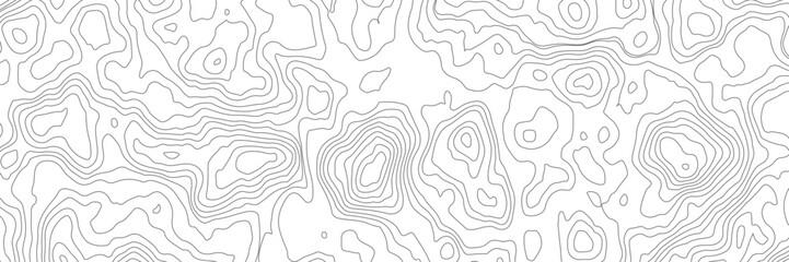 Abstract wave background. Stylish curved lines. Marble texture. Contour vector illustration. Abstract topographic map background. Geography scheme.