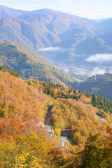 紅葉の白山白川郷ホワイトロード