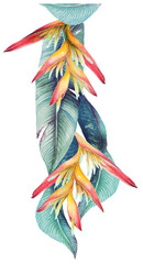Obraz na płótnie Canvas Botanical plants and heliconia drawing illustration painting with watercolors.Watercolor painted leaves for invitation elements.Tropical leaves. 