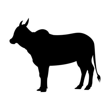 Cow silhouette sign icon symbol black design vector illustration