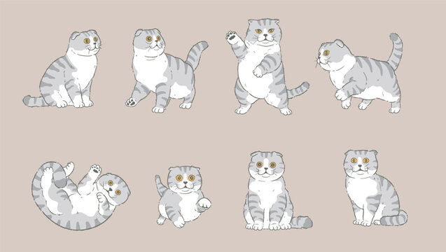 Cute Cartoon Scottish Fold Cat set	