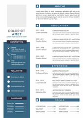 professional curriculum vitae template vector