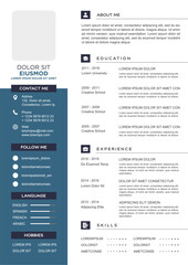 professional curriculum vitae template vector