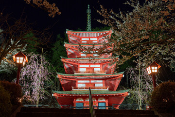 赤い五重塔とそれを囲む桜の花　新倉山淺間公園　富士吉田