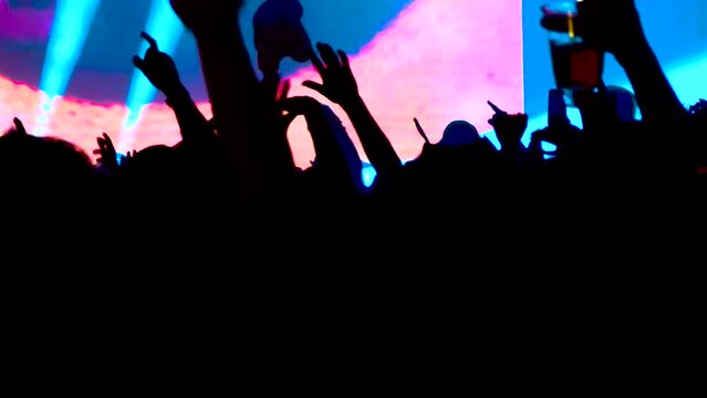 Silhouette of Audience at Music Festival