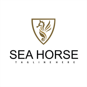 a seahorse animal logo with design vector illustration