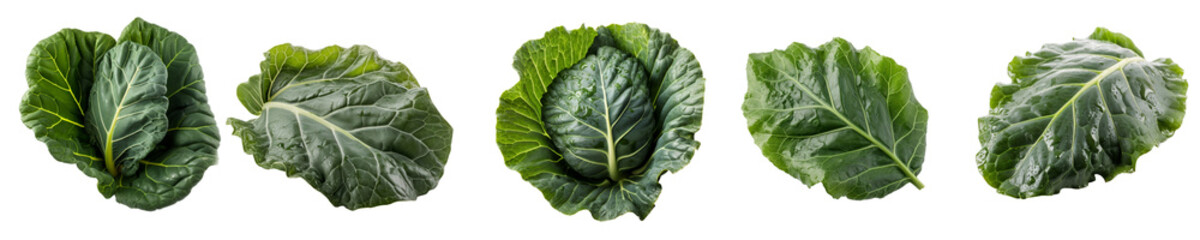 Set of collard green isolated on transparent background	