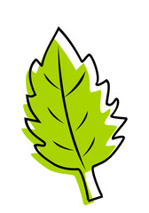 dry leaf vector illustration icon
