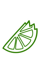 orange or lemon slice squeeze vector illustration icon
