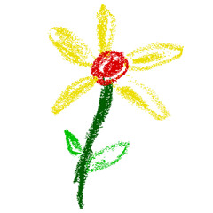 vector flower and leaf, crayon effect, colorful, isolated on white