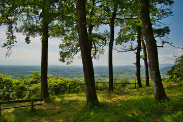 Mont Saint Michel in Saint-Jean de Saverne im Elsass