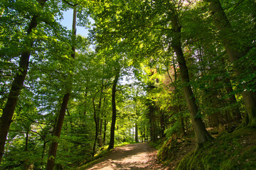 Obraz premium Mont Saint Michel in Saint-Jean de Saverne im Elsass