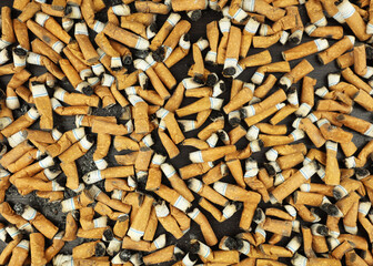 Many smoked cigarettes. Environmental pollution. Smoking harms health. Problems and depression. A person smokes a lot. Background from cigarettes. A brown filter in a cigarette. NO SMOKING