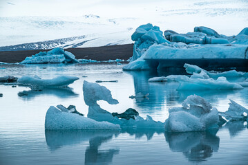 Bizarre icebergs floating in the Jökulsárlón glacier lagoon, one in the shape of a swan,...