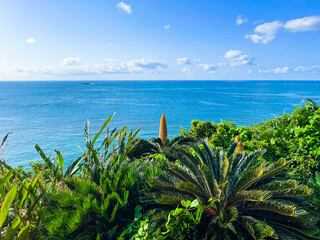 Fototapeta premium 沖縄県南城市知念岬公園