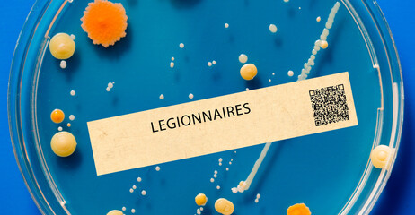Legionnaires' disease - Bacterial infection that can cause severe pneumonia and respiratory failure.