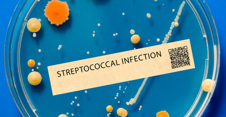 Streptococcal infection - Bacterial infection that can cause strep throat, scarlet fever, and other...