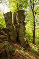 The distinctive "Adam & Eva" limestone rock formation, a natural landmark at the "Ith-Hils-Weg" hiking trail, Ith, Weserbergland, Germany