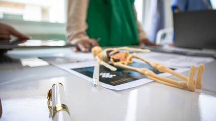 Medical team and business people use computers during office meetings.