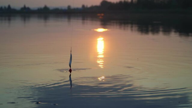 The lure on the rod swings and touches the water at sunset. Spinning fishing for predatory fish.
