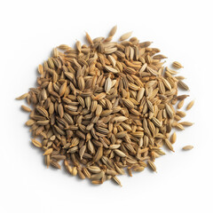 cumin spice fresh image isolate photo on white background